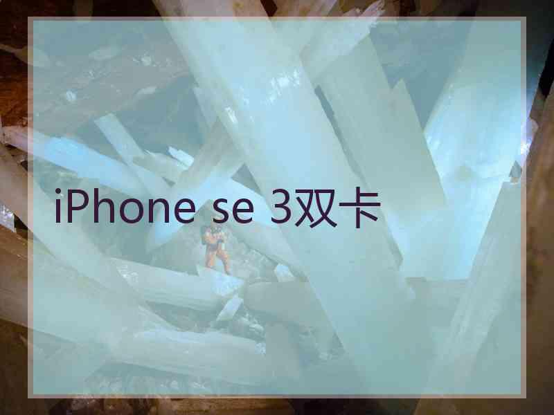 iPhone se 3双卡