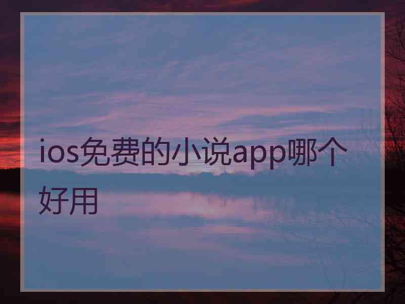 ios免费的小说app哪个好用