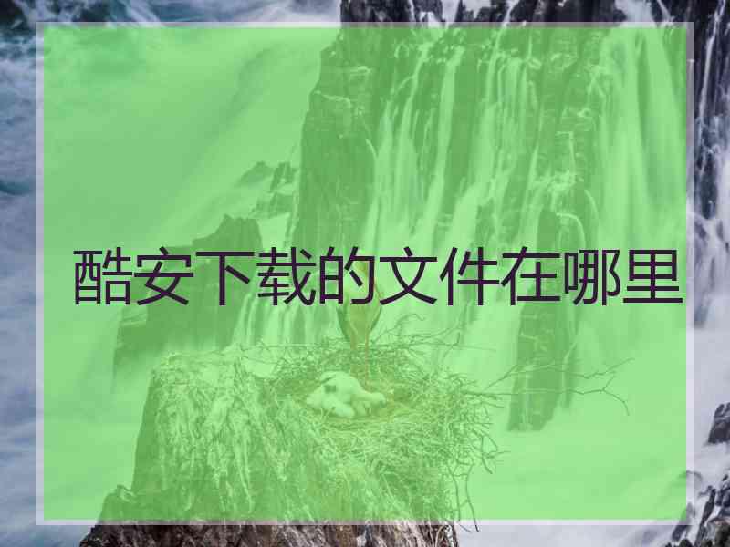 酷安下载的文件在哪里