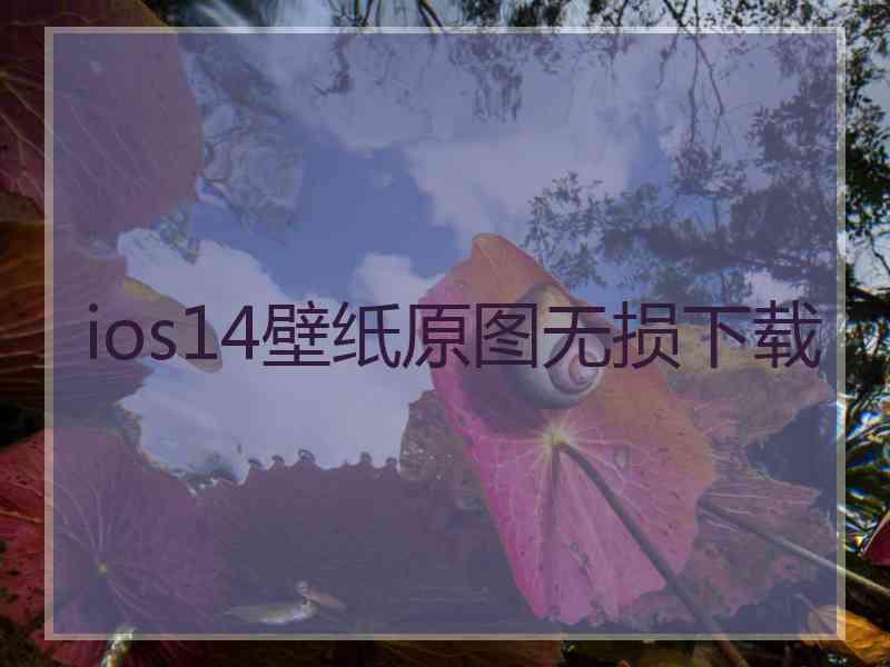 ios14壁纸原图无损下载