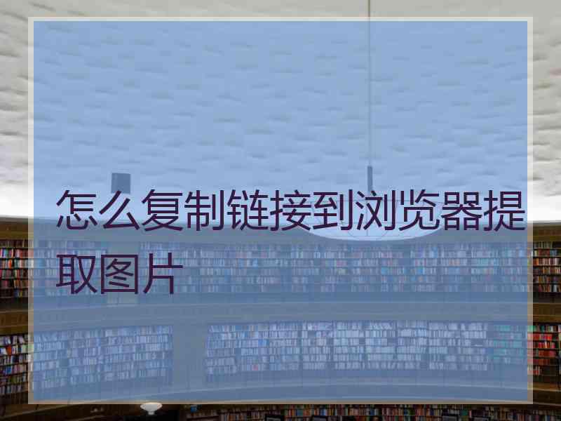 怎么复制链接到浏览器提取图片