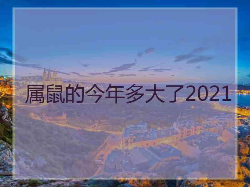 属鼠的今年多大了2021