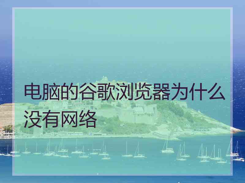 电脑的谷歌浏览器为什么没有网络