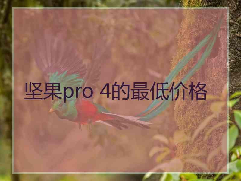 坚果pro 4的最低价格