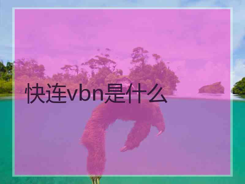 快连vbn是什么