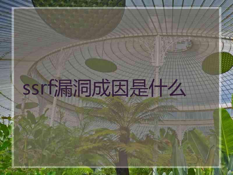 ssrf漏洞成因是什么