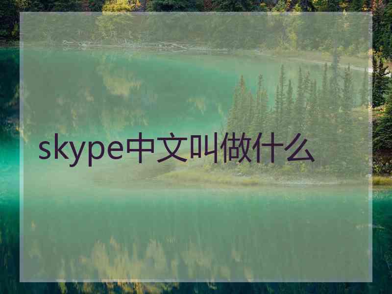 skype中文叫做什么