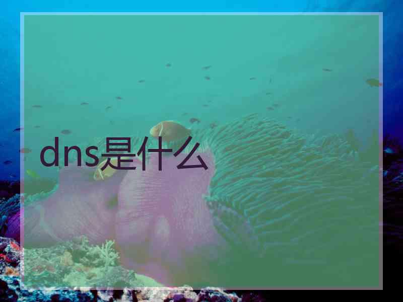 dns是什么