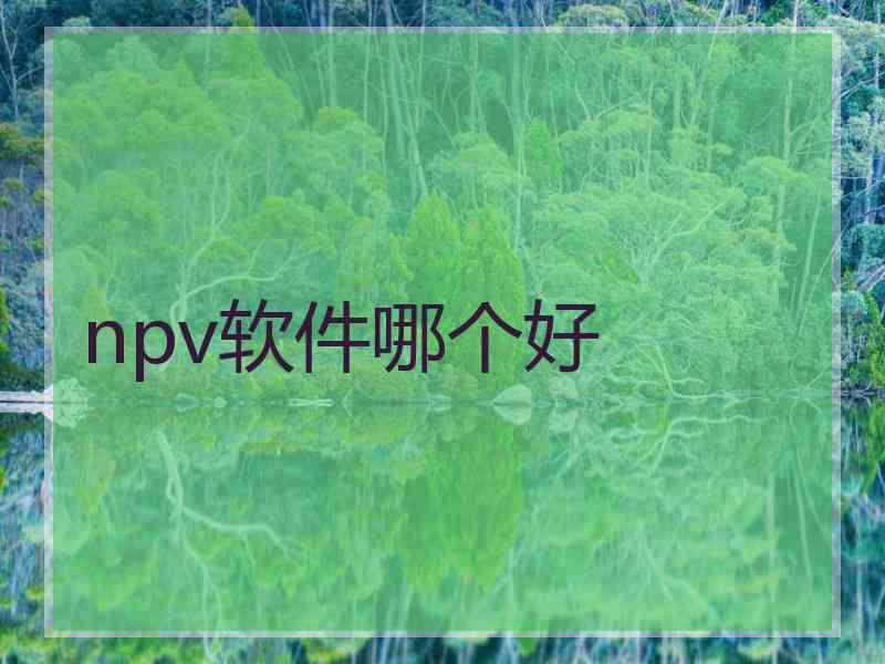 npv软件哪个好