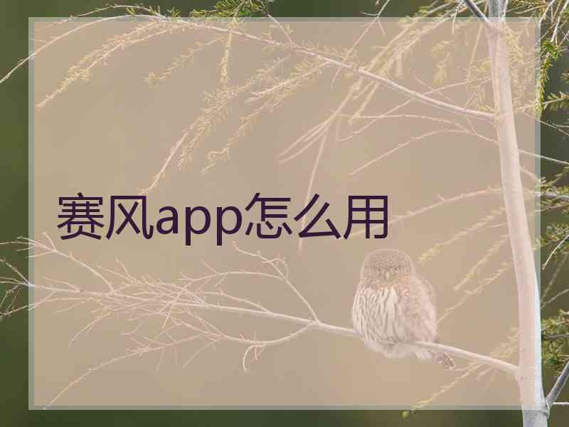 赛风app怎么用