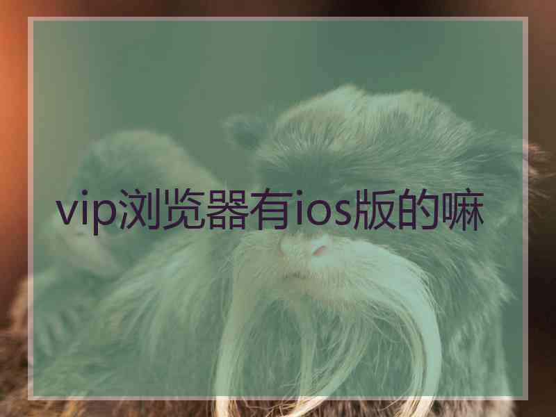 vip浏览器有ios版的嘛