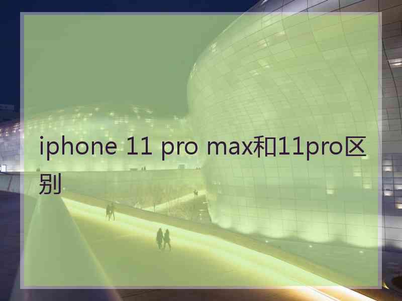 iphone 11 pro max和11pro区别