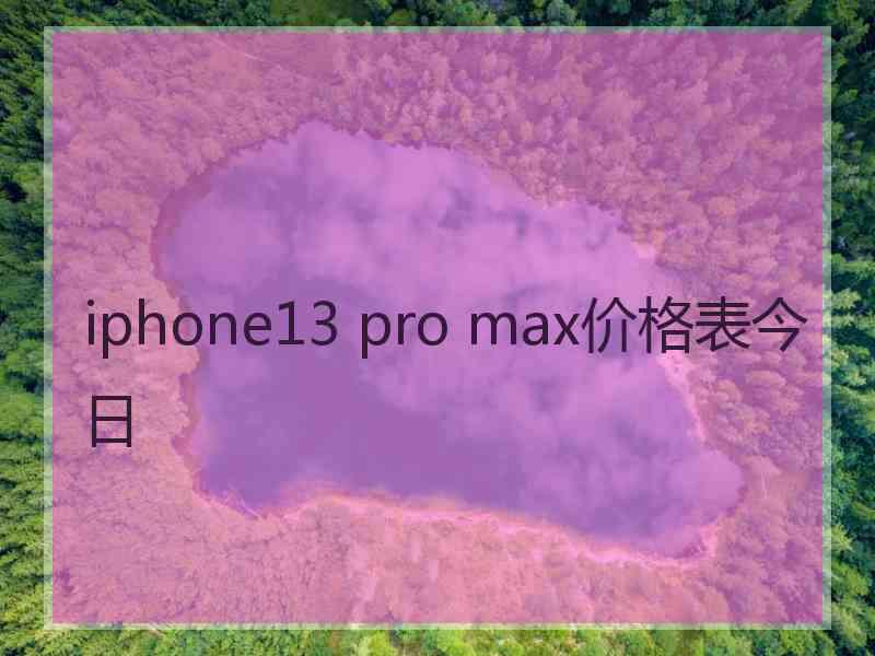 iphone13 pro max价格表今日