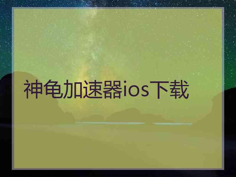 神龟加速器ios下载