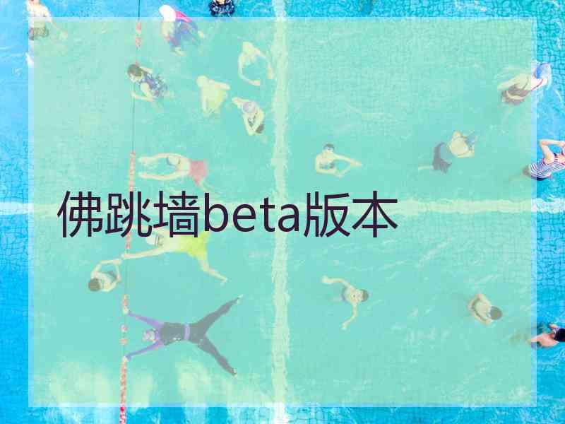 佛跳墙beta版本