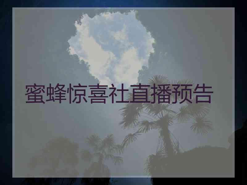 蜜蜂惊喜社直播预告