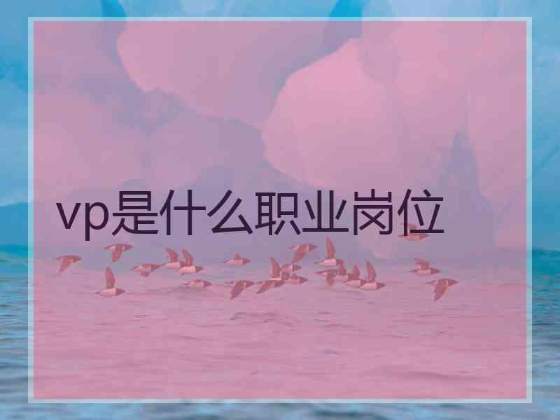 vp是什么职业岗位