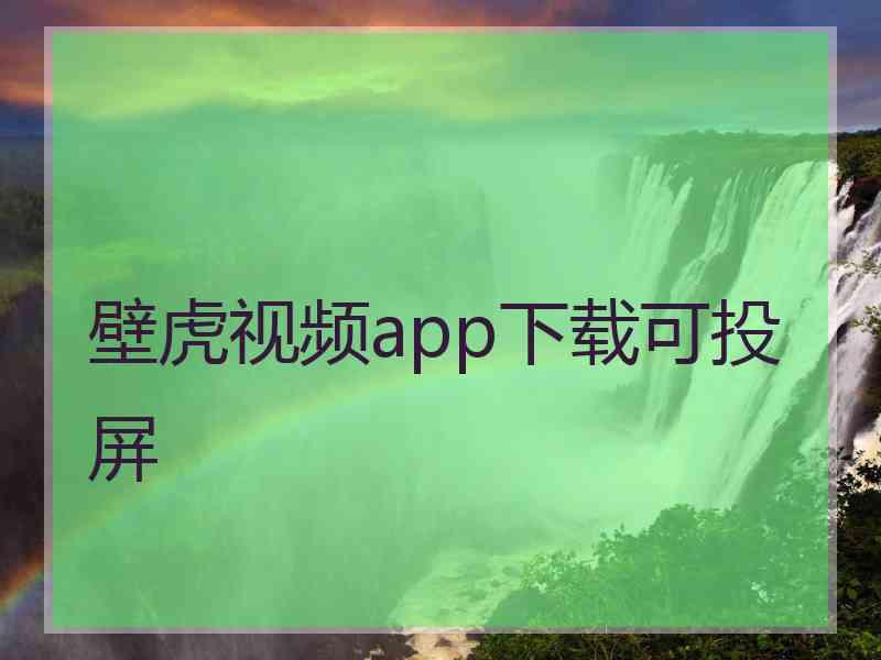 壁虎视频app下载可投屏