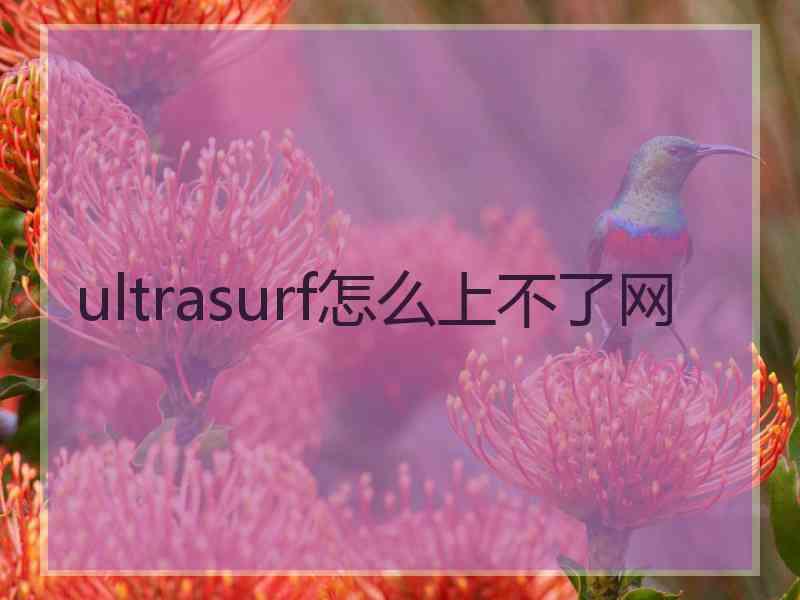 ultrasurf怎么上不了网