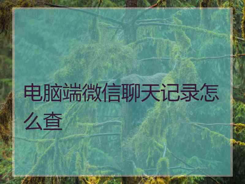 电脑端微信聊天记录怎么查