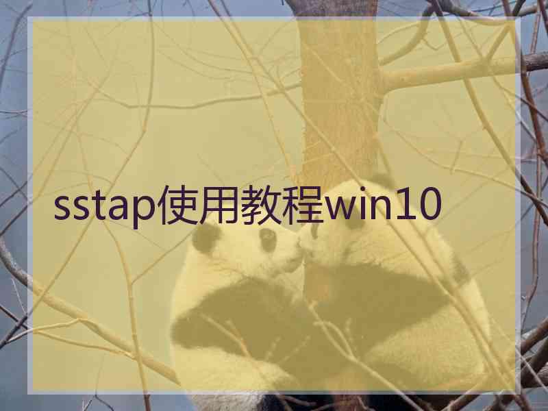 sstap使用教程win10