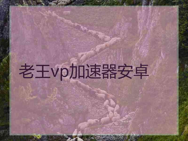 老王vp加速器安卓