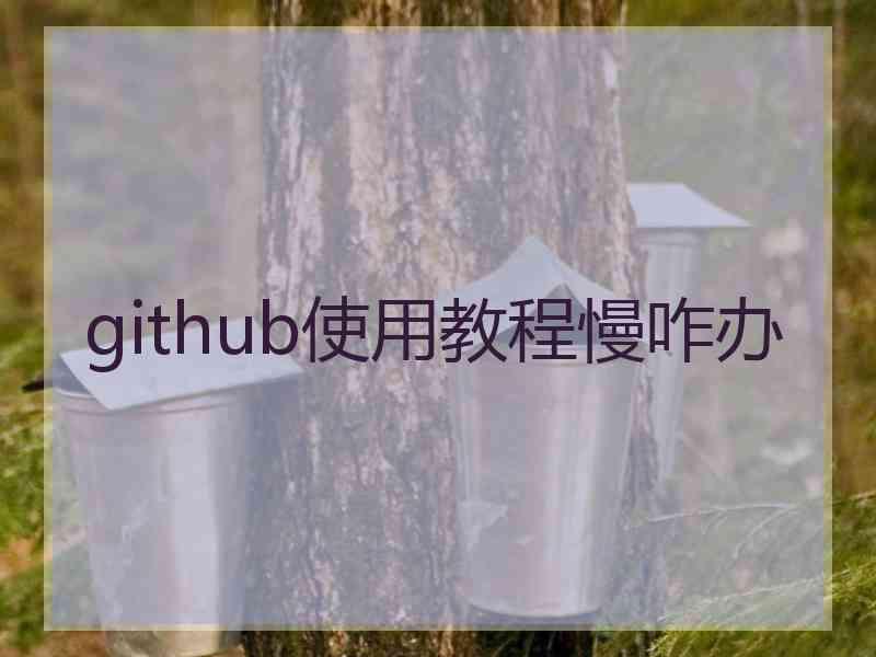 github使用教程慢咋办