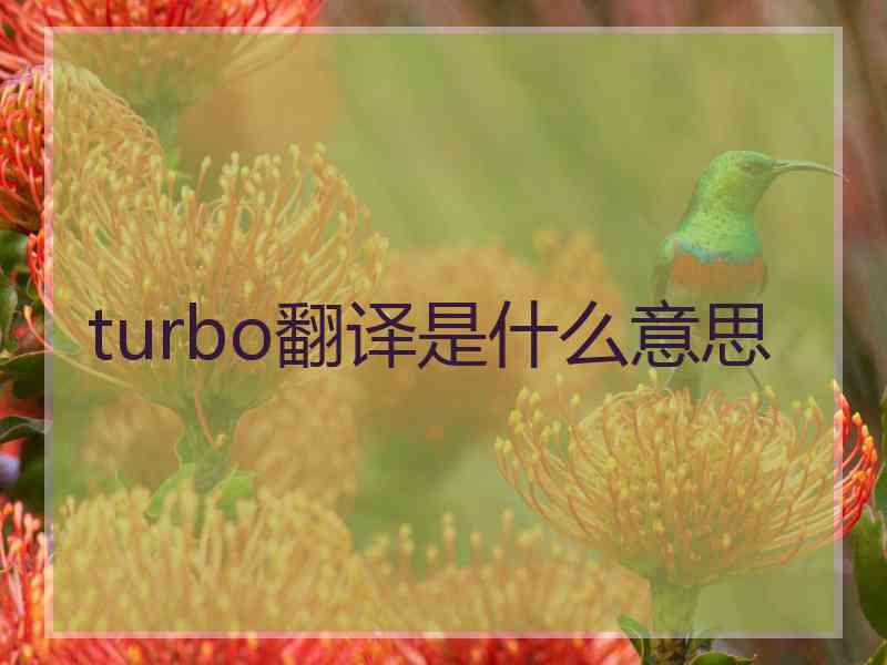 turbo翻译是什么意思