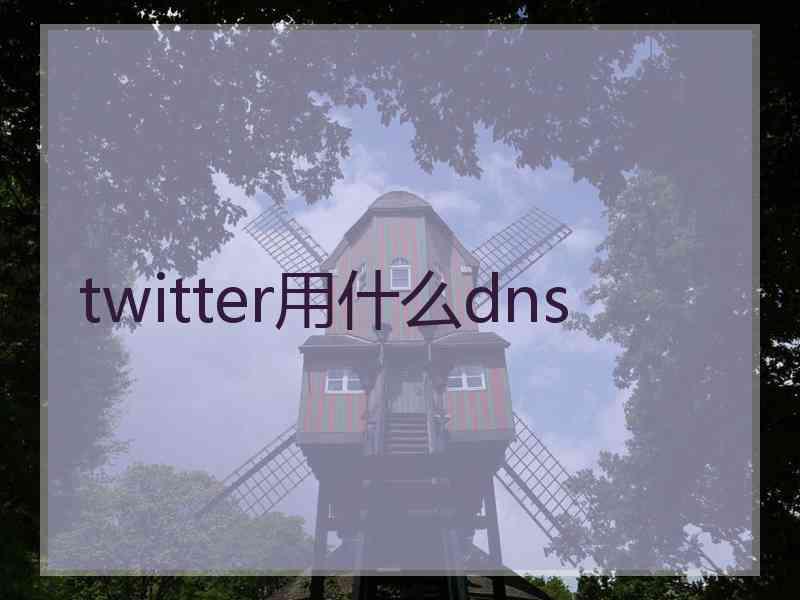 twitter用什么dns