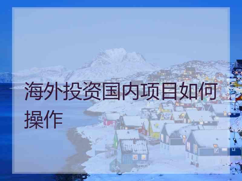 海外投资国内项目如何操作