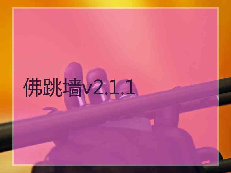 佛跳墙v2.1.1