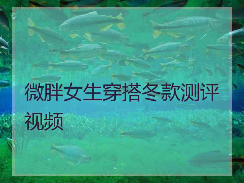 微胖女生穿搭冬款测评视频