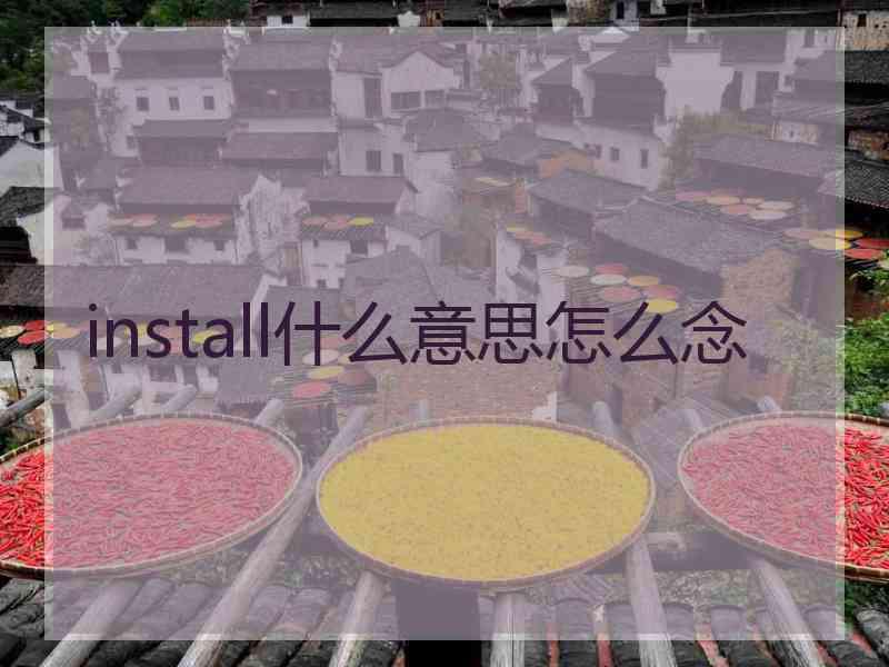 install什么意思怎么念