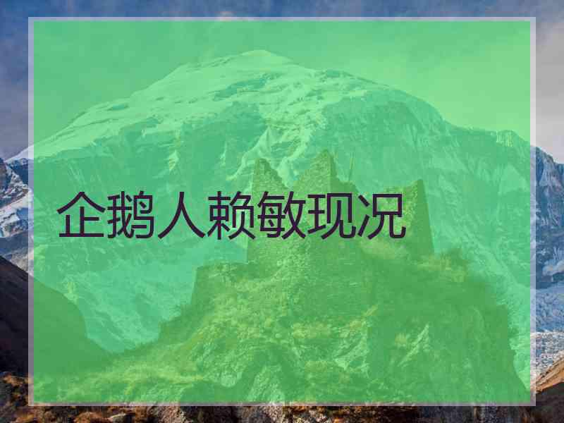 企鹅人赖敏现况