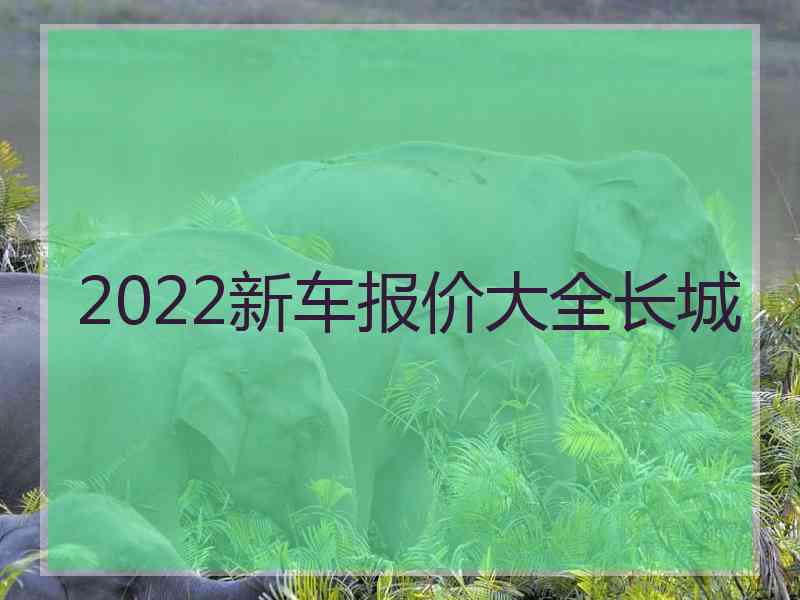 2022新车报价大全长城