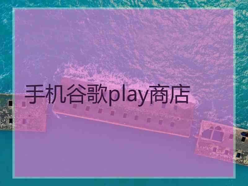 手机谷歌play商店