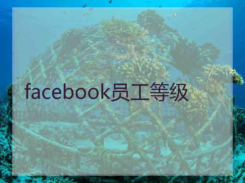 facebook员工等级