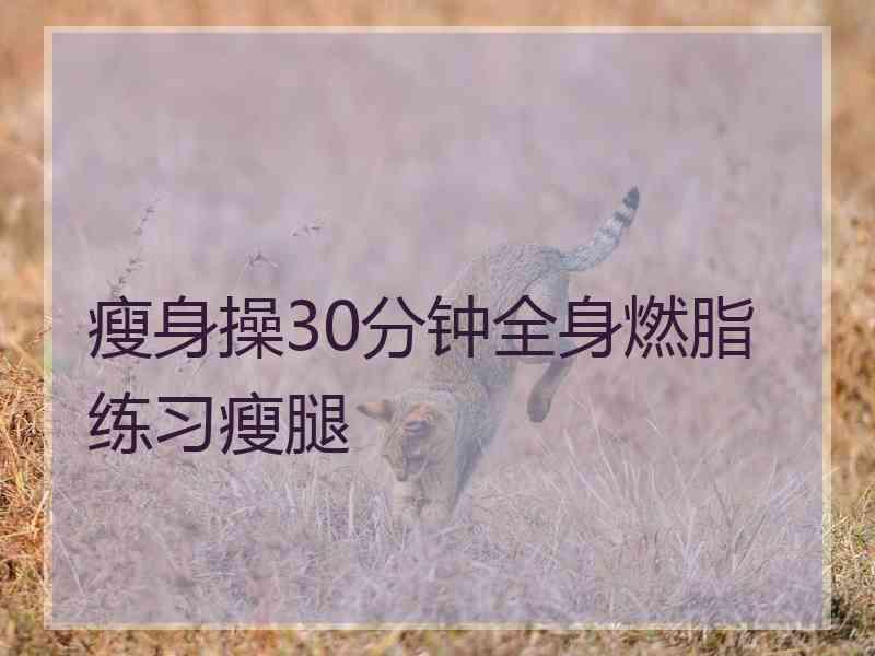 瘦身操30分钟全身燃脂练习瘦腿