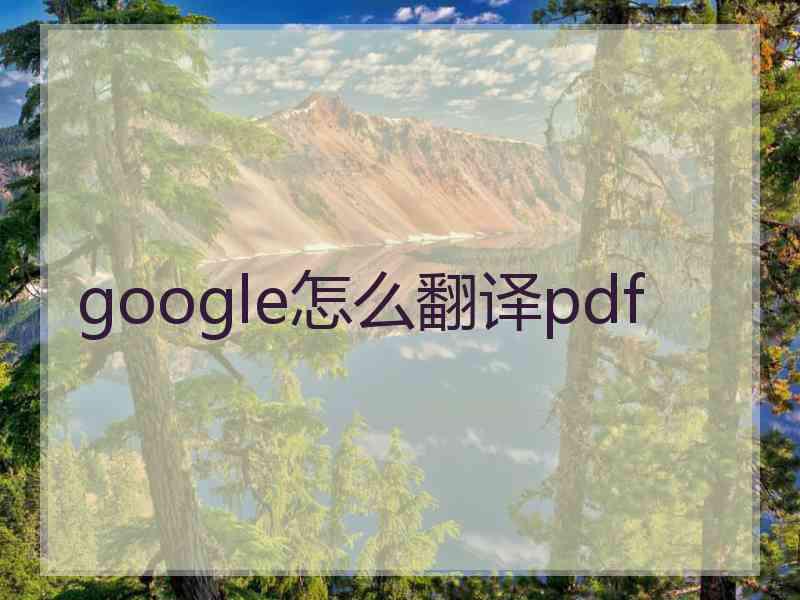 google怎么翻译pdf