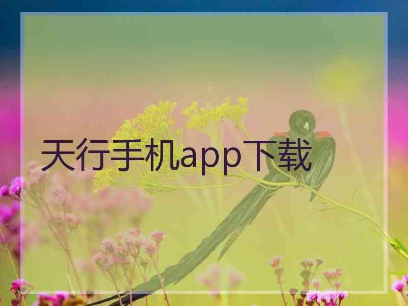 天行手机app下载