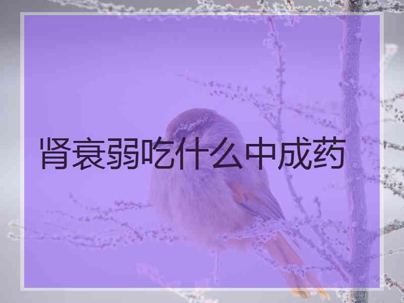 肾衰弱吃什么中成药