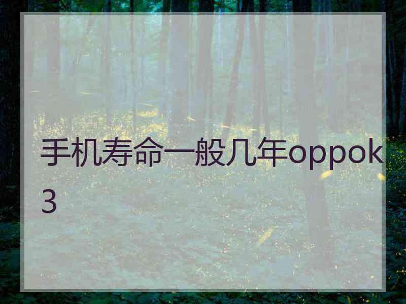 手机寿命一般几年oppok3