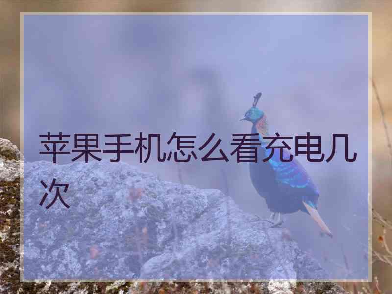 苹果手机怎么看充电几次