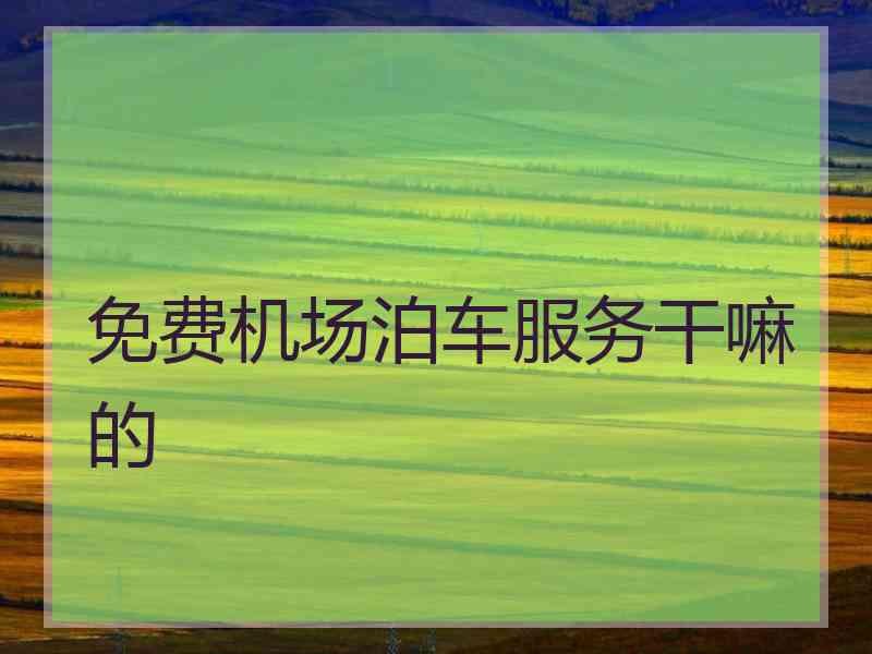 免费机场泊车服务干嘛的