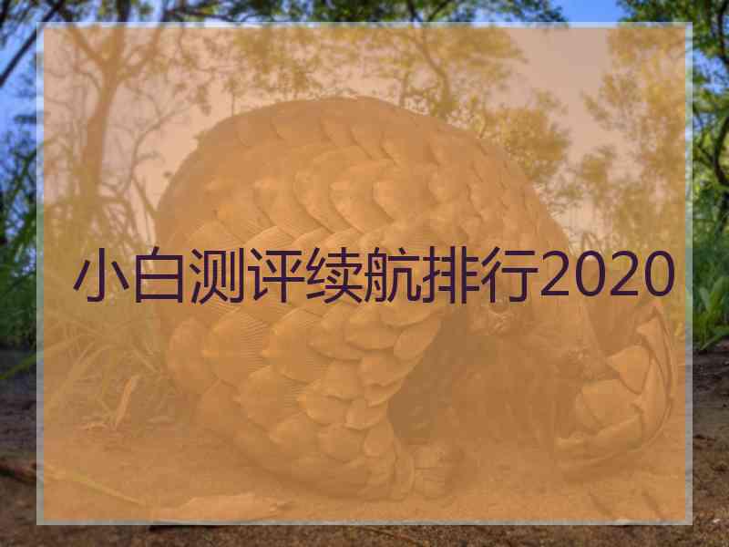 小白测评续航排行2020