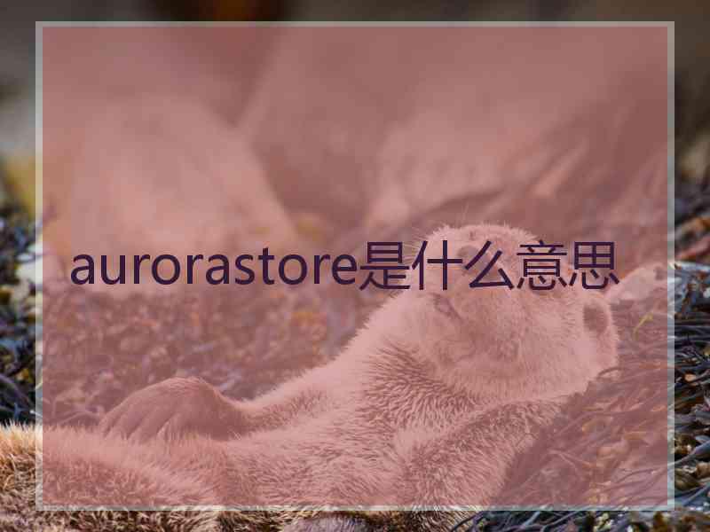 aurorastore是什么意思