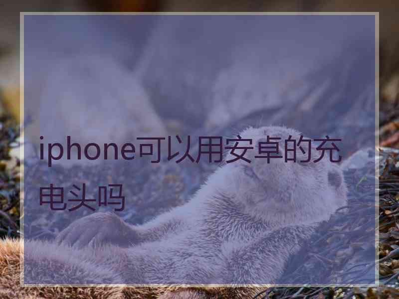 iphone可以用安卓的充电头吗