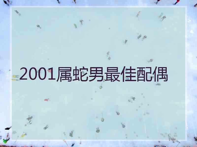 2001属蛇男最佳配偶