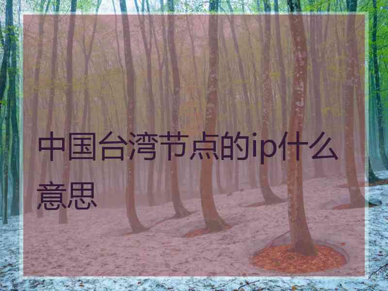 中国台湾节点的ip什么意思