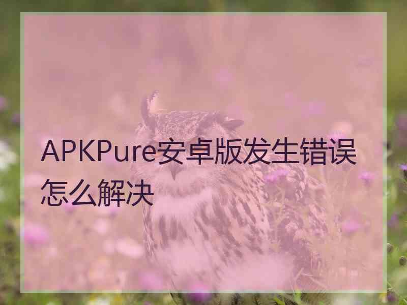 APKPure安卓版发生错误怎么解决